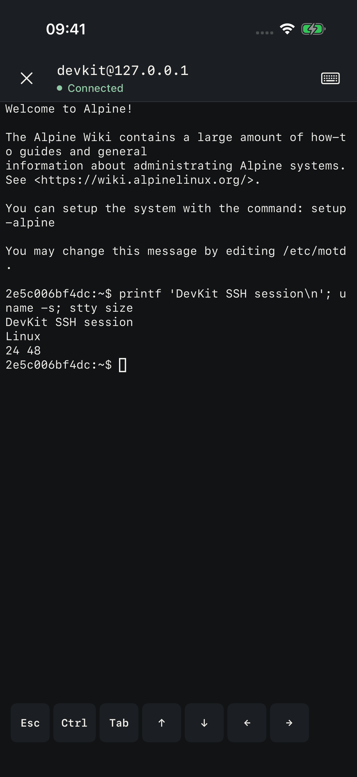 The SSH terminal connected to a server, showing the output of uname, uptime and df, with the Esc, Ctrl, Tab and arrow keys at the bottom
